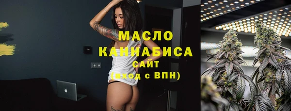 гашик Пестово