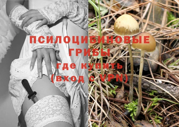 гидропоника Алексеевка