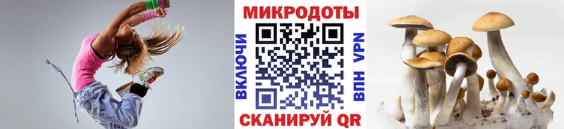MEGA зеркало  Бердск  Галлюциногенные грибы прущие грибы  где найти наркотики 