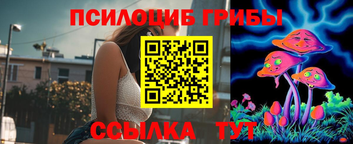 Псилоцибиновые грибы ЛСД Бердск