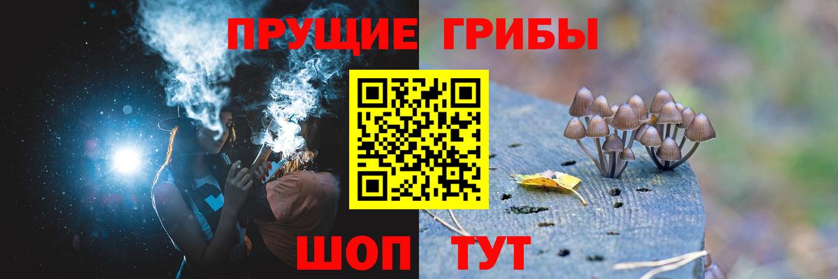 Псилоцибиновые грибы Psilocybine cubensis  наркота  Бердск  Вход с VPN 