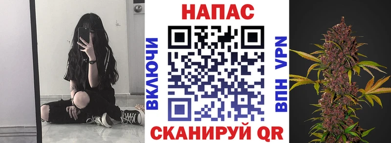 что такое наркотик  кракен ССЫЛКА  Канабис план  Бердск 