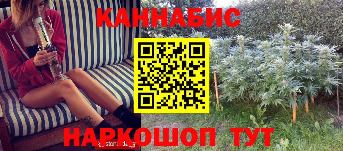 Канабис ГИДРОПОН  Канабис сатива  Марихуана LSD WEED  Бердск  Конопля конопля  Вход с VPN 